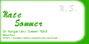 mate sommer business card