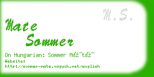 mate sommer business card